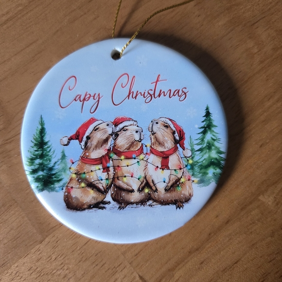 Capybara Bundle - Picture 5 of 7